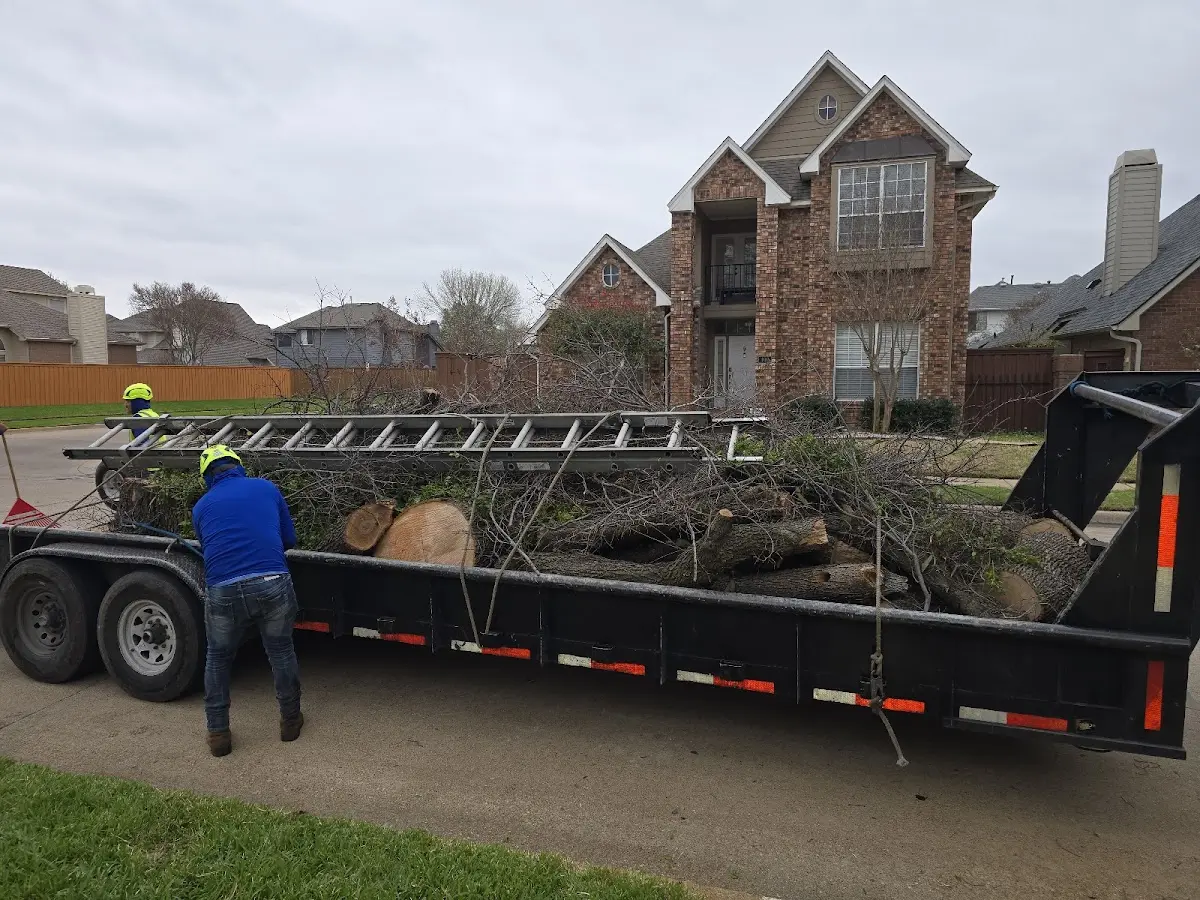 Expert Tree Pest Control with proper safety equipment in Edgewood